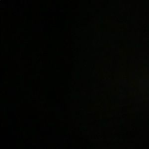 Meet your Posher, Bella